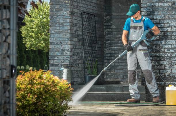 Best Graffiti Removal  in Sycamore, GA