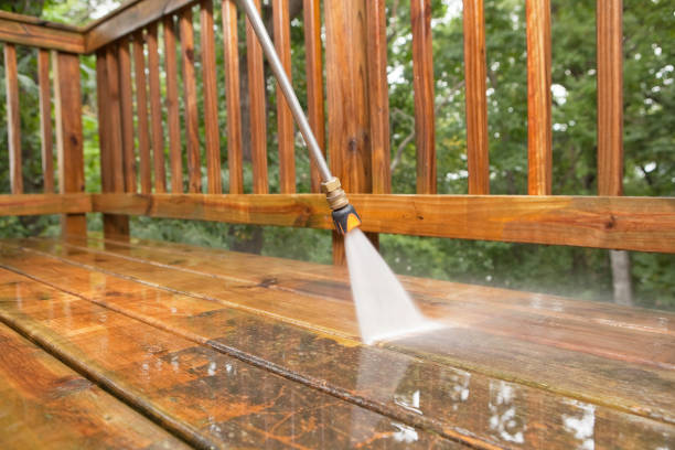 Best Sidewalk and Walkway Cleaning  in Sycamore, GA